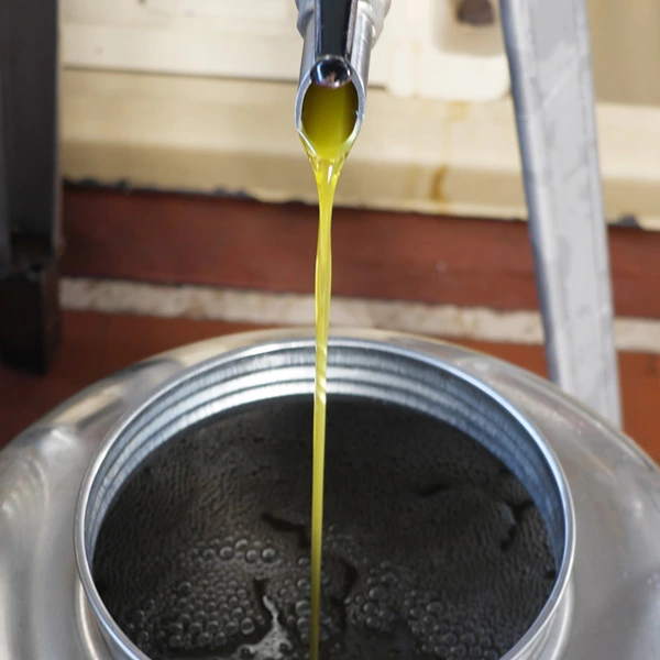 Zm.Web.Models.ThumbList